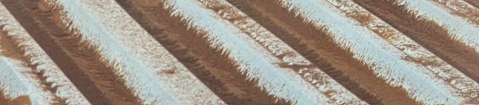 efd30b54-e3f0-4b71-a36e-c5d6c4590d42-изображение whatsapp 2025-11-21 в 08.46.32_aa7a9c6a.jpg