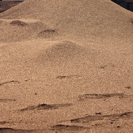 Опилки термодревесины