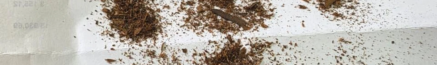 49fecbdf-f82f-44b9-9552-538dc89007fc-изображение whatsapp 2025-11-21 в 08.46.35_cf23d4bf.jpg